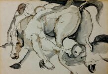 MUDIC celebrará su 25 aniversario con una retrospectiva